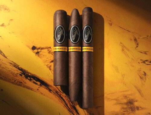Clubabend am 8. Mai 2026: Davidoff Puro Dominicano